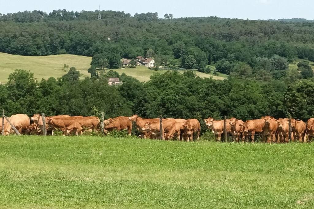 Gite Aux Vieux Bois Lunas  Zewnętrze zdjęcie